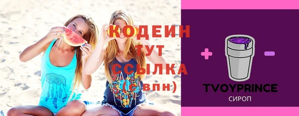 ГАЛЛЮЦИНОГЕННЫЕ ГРИБЫ Аркадак