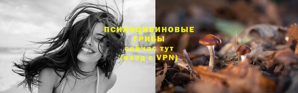 MESCALINE Арсеньев