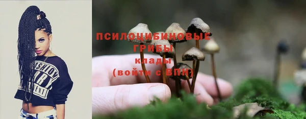 ГАЛЛЮЦИНОГЕННЫЕ ГРИБЫ Аркадак