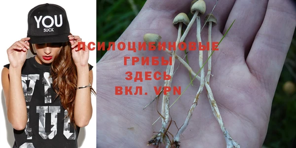 MESCALINE Арсеньев